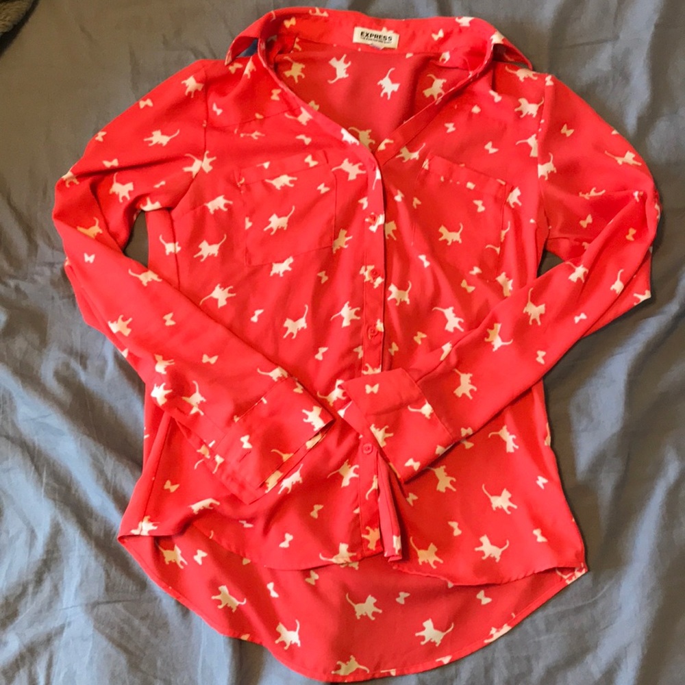 Express button down dress shirt.